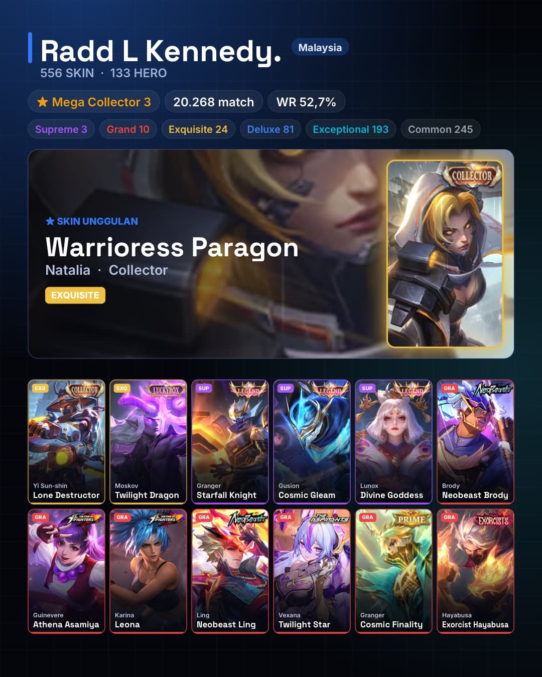 133 Hero 556 Skin